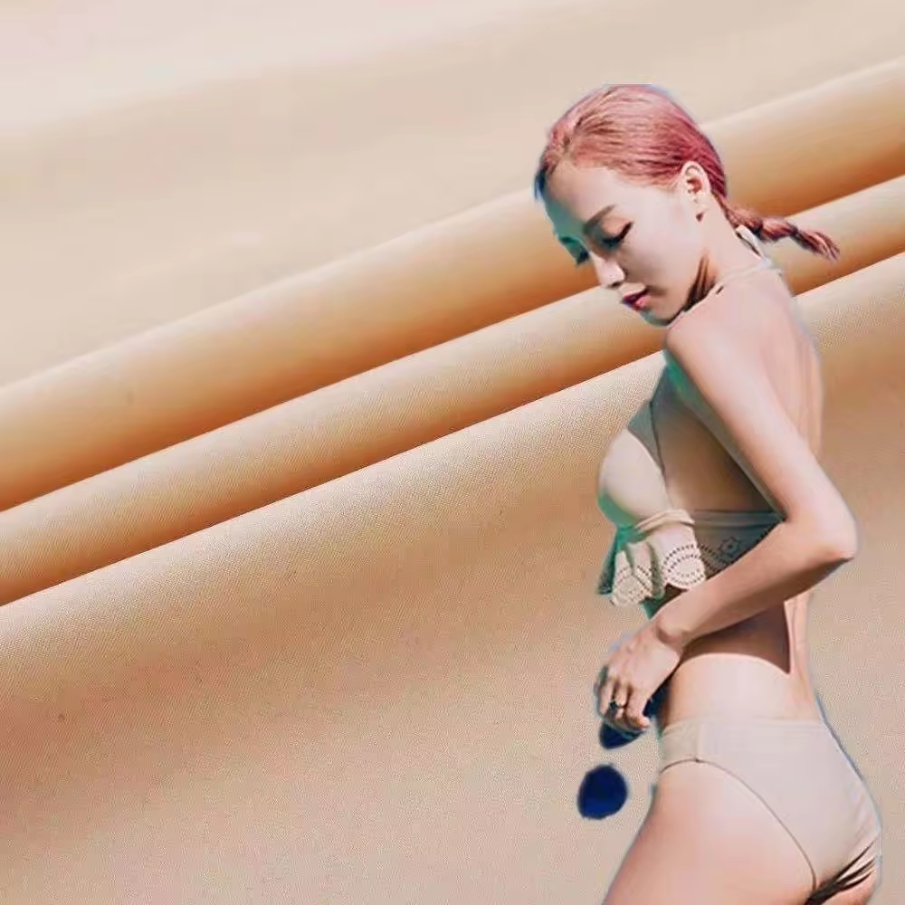 Nylon Spandex Single Jersey